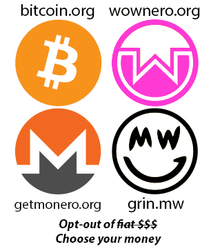 Webshop e-commerce and cryptocurrency payment consulting